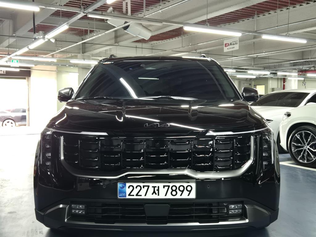 KIA Carnival - Vista 3
