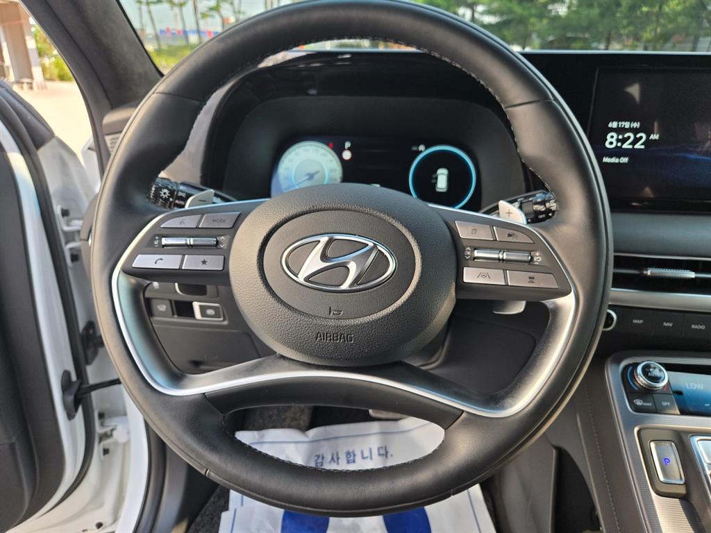 HYUNDAI Palisade - Vista 10
