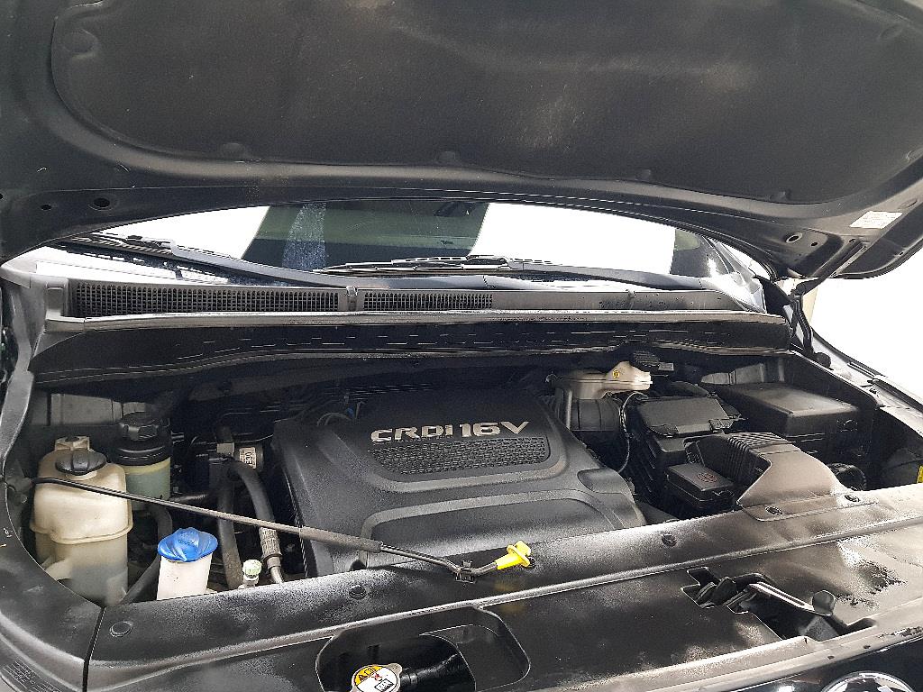KIA Carnival - Vista 8