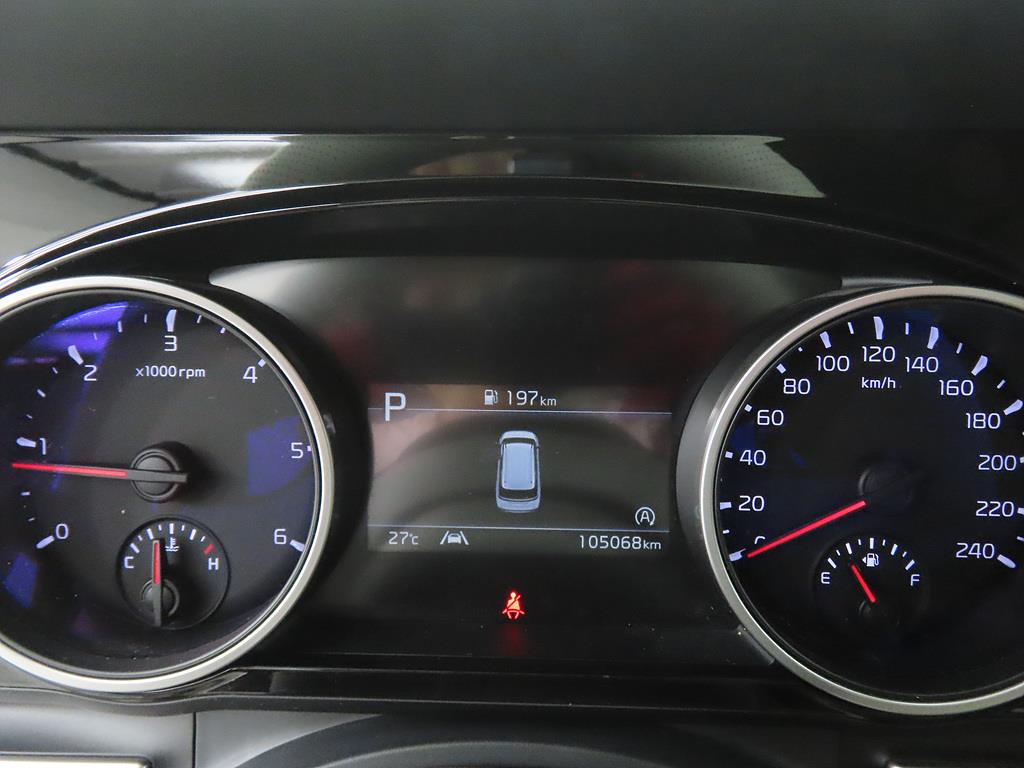 KIA Carnival - Vista 11