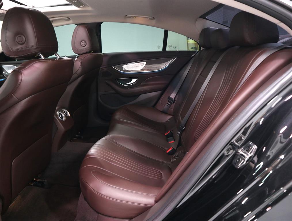 Mercedes Benz CLS Class - Vista 11