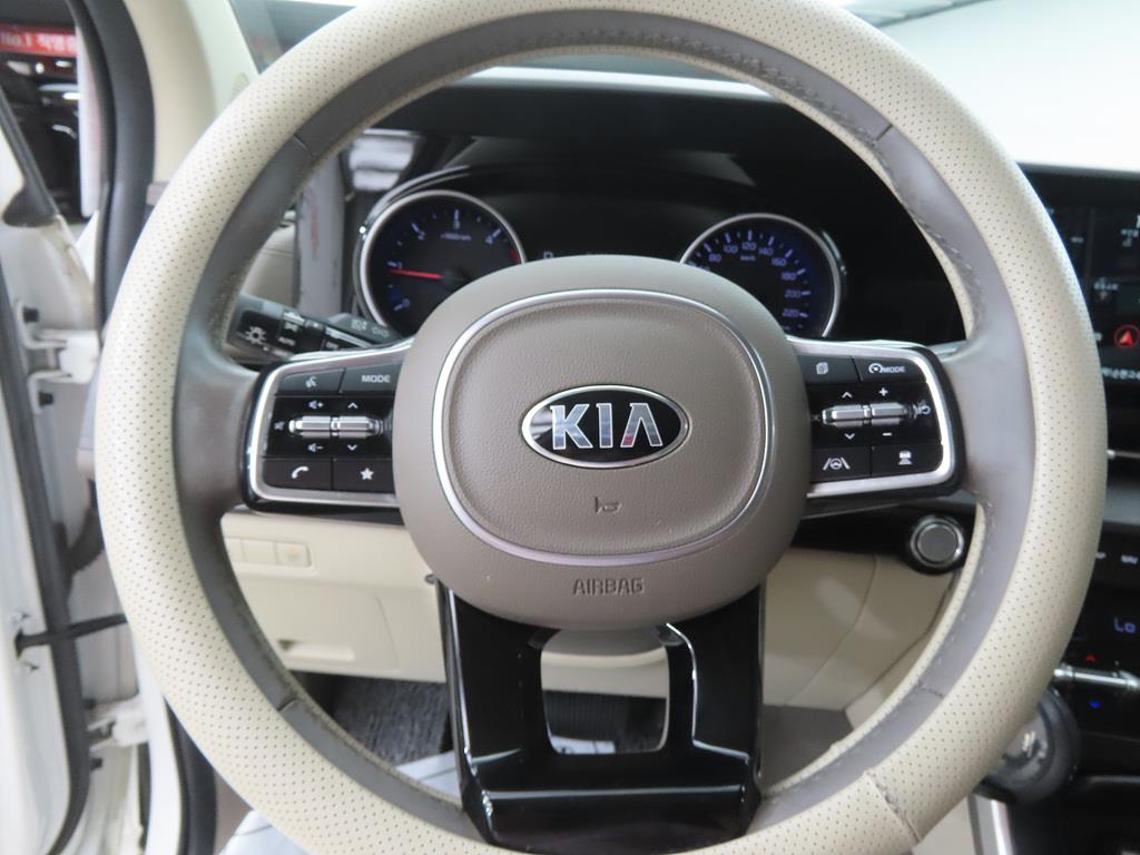 KIA Carnival - Vista 10