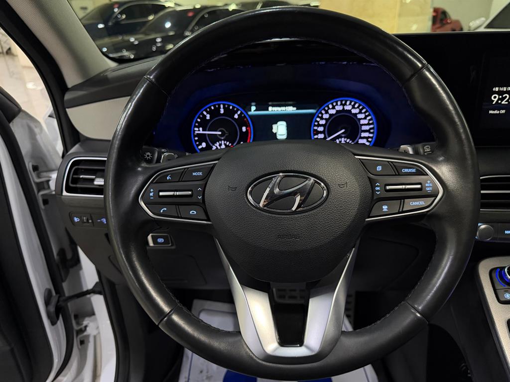 HYUNDAI Palisade - Vista 12