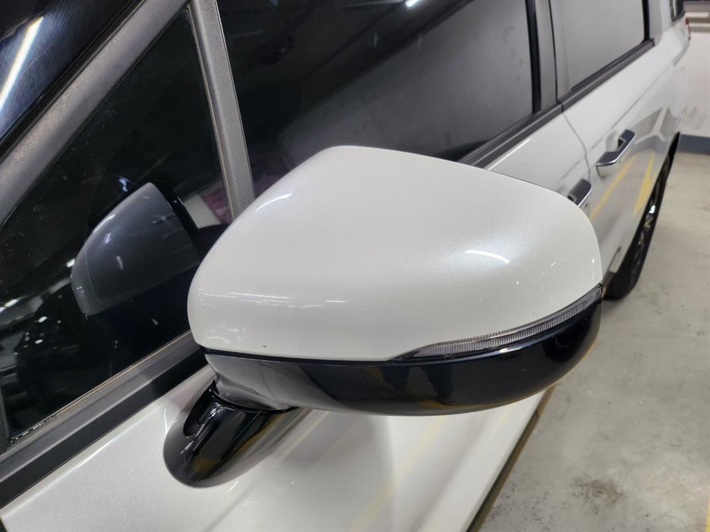 KIA Carnival - Vista 8
