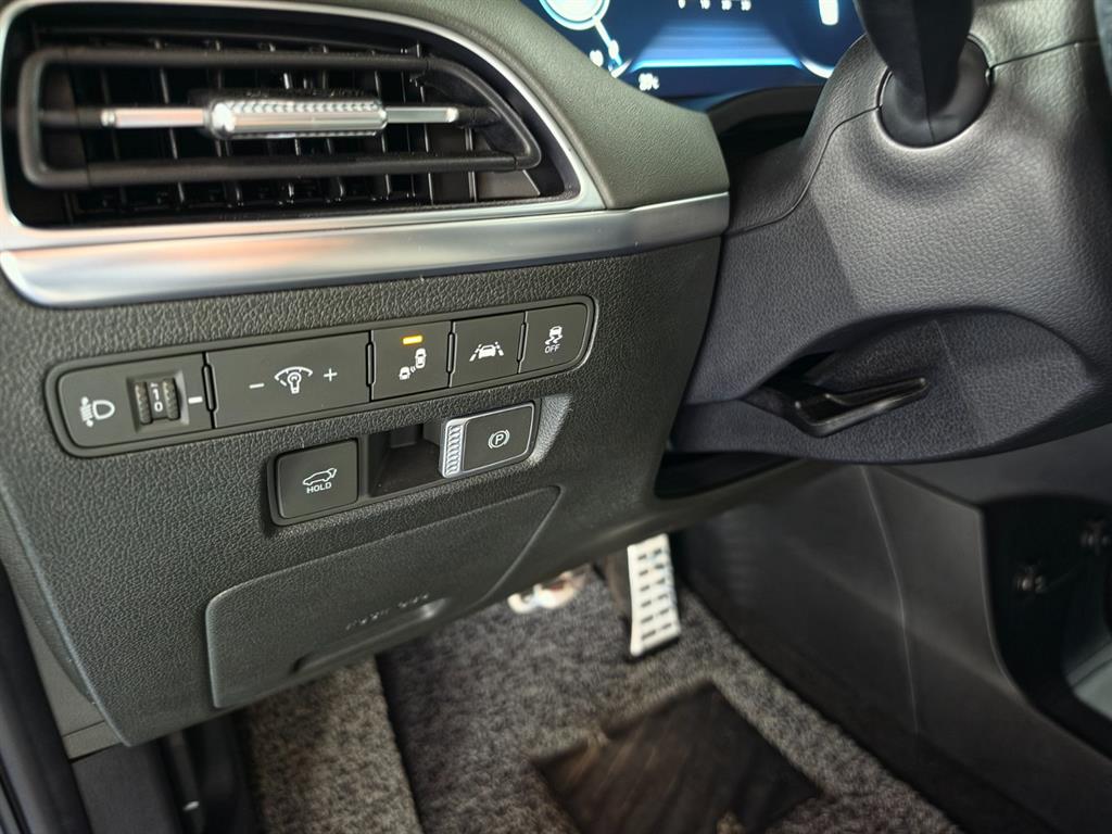HYUNDAI Palisade - Vista 12
