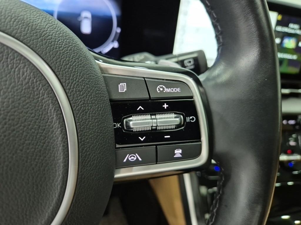 KIA Carnival - Vista 12