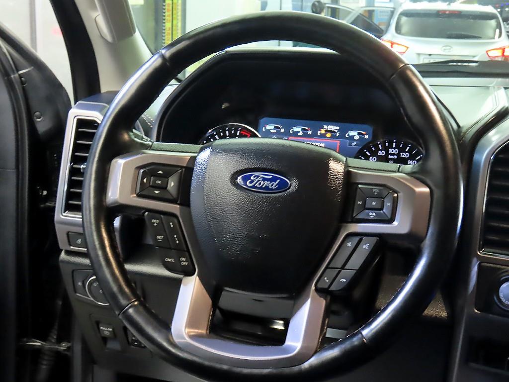 Ford Expedition - Vista 10