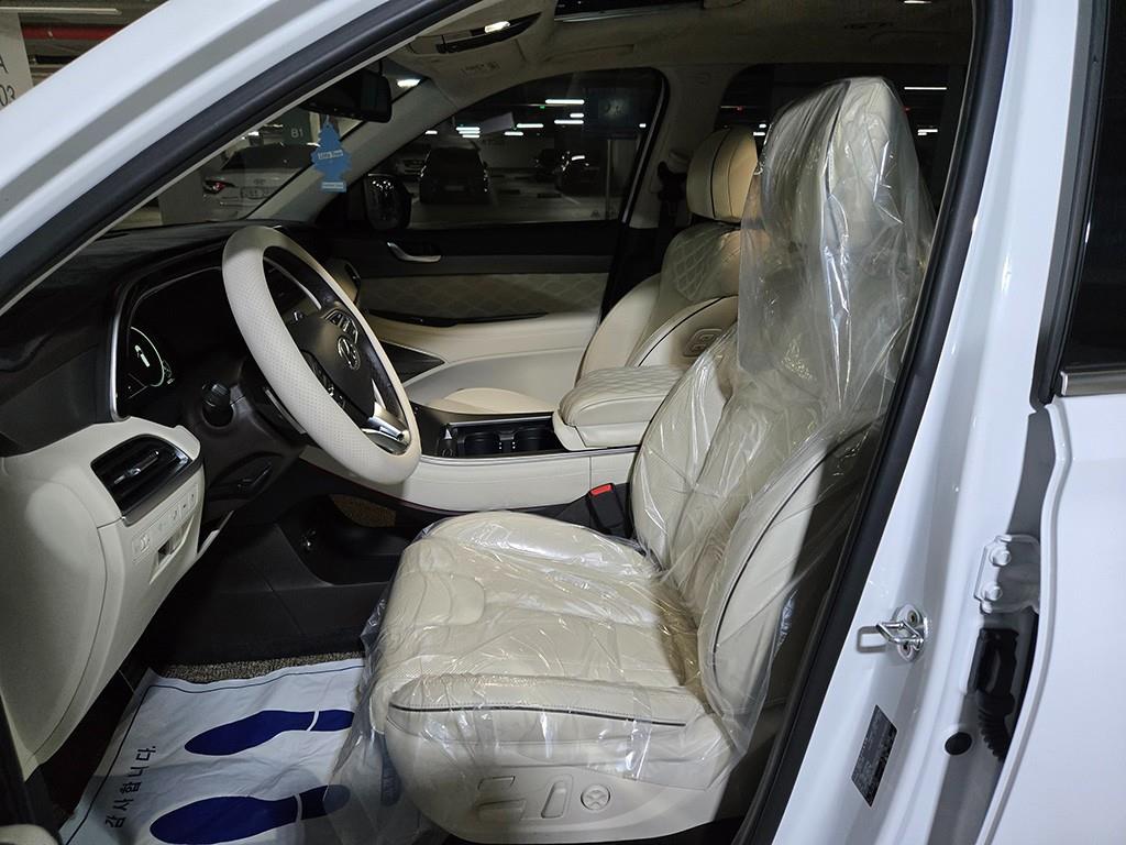 HYUNDAI Palisade - Vista 8
