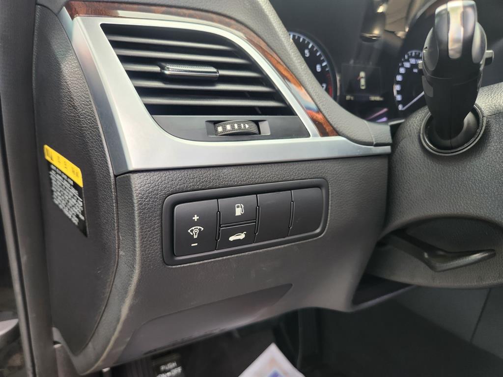 HYUNDAI Genesis - Vista 12
