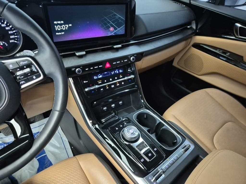 KIA Carnival - Vista 12