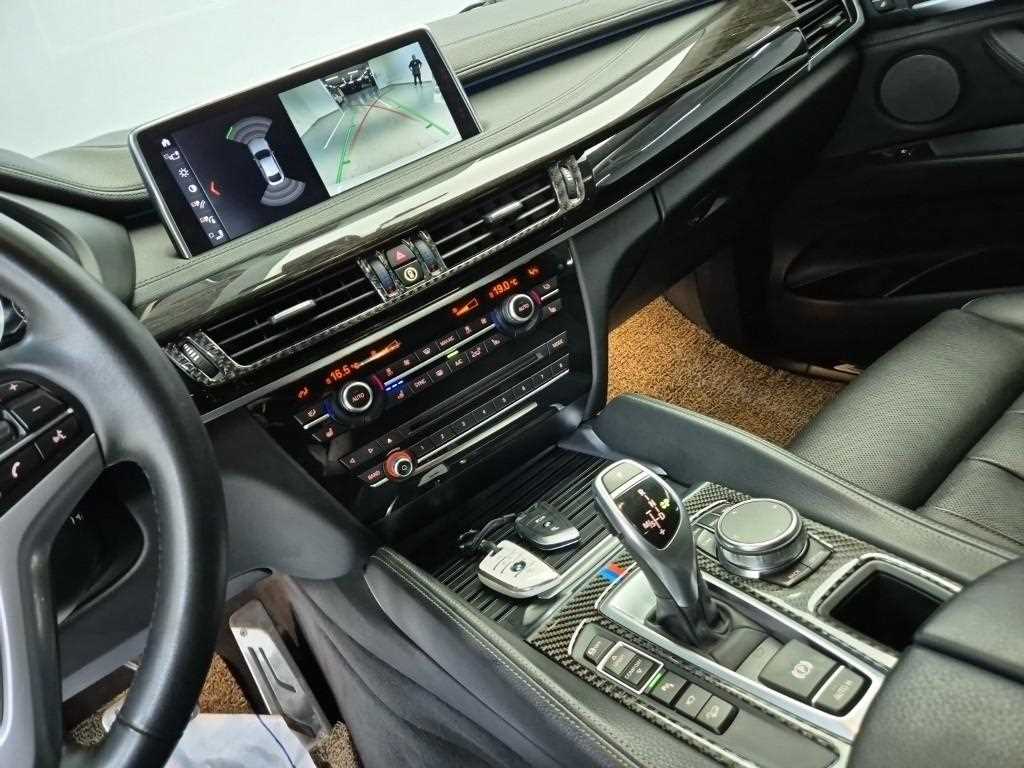 BMW X6 - Vista 12