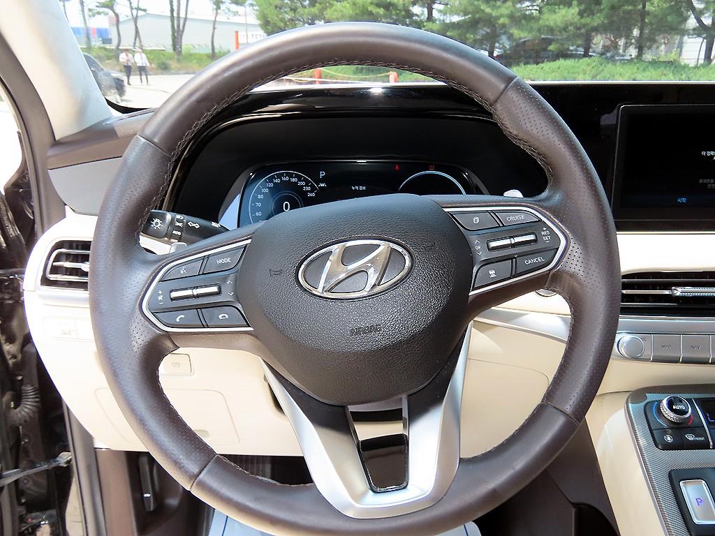 HYUNDAI Palisade - Vista 10