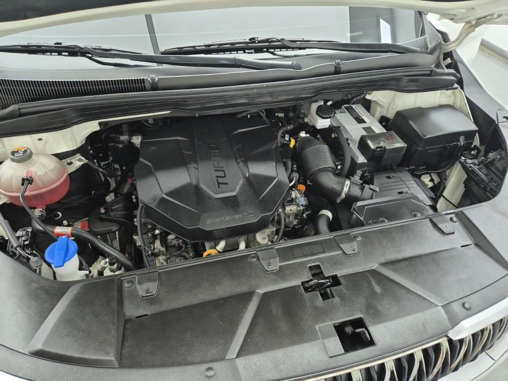 KIA Carnival - Vista 8