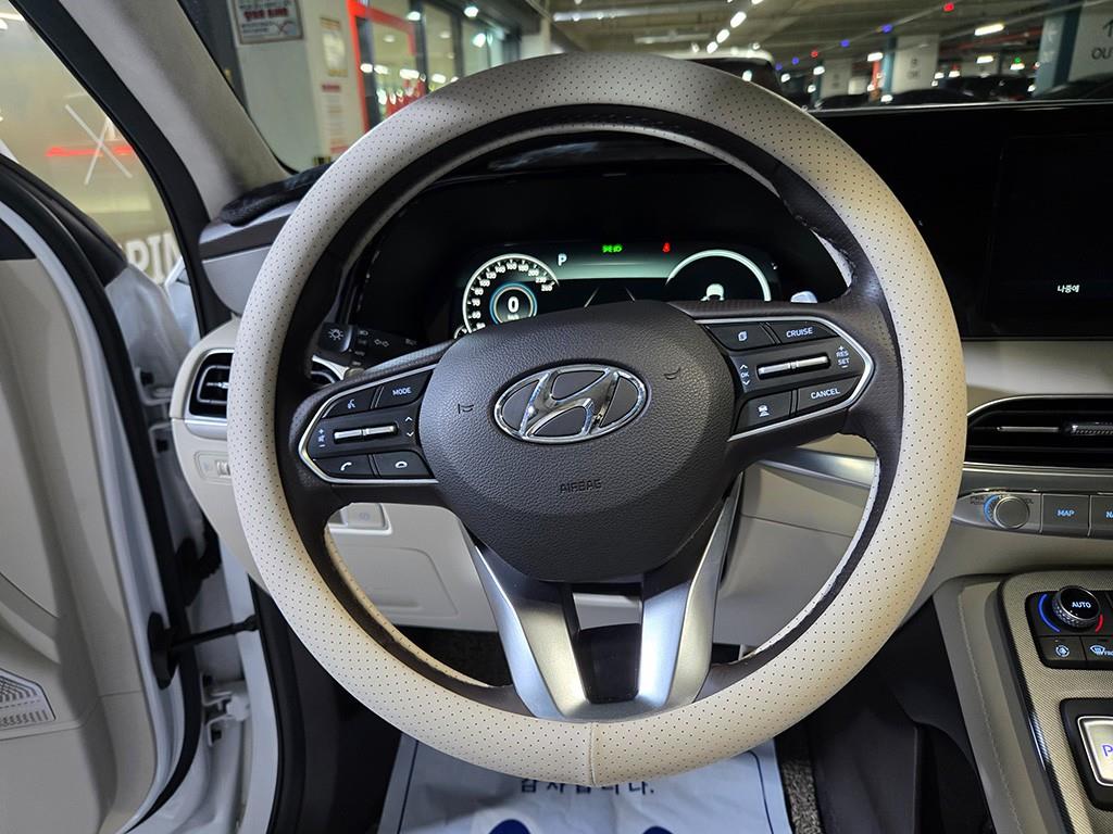 HYUNDAI Palisade - Vista 10