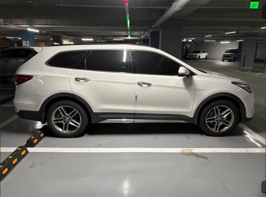 HYUNDAI Maxcruz - Vista 6
