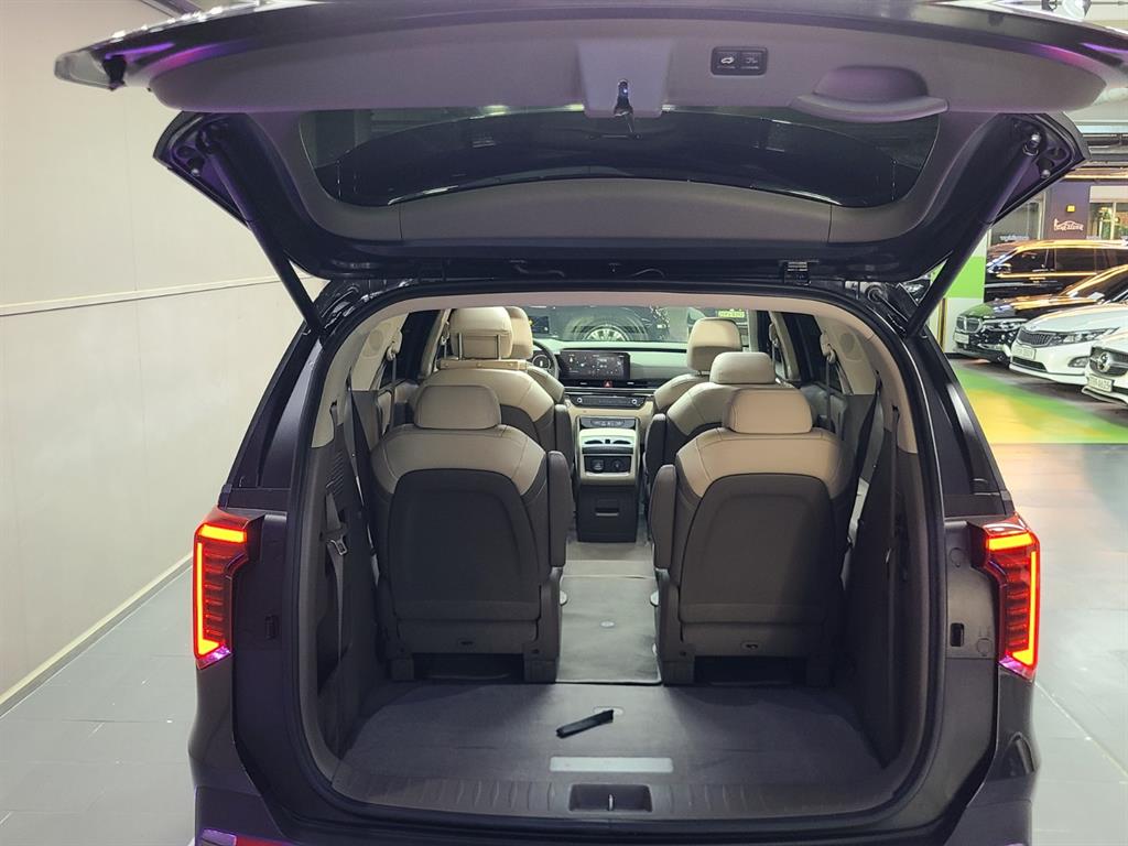 KIA Carnival - Vista 8