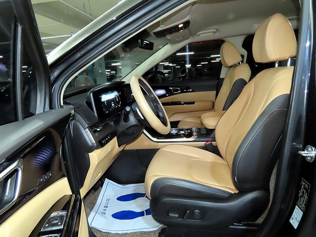 KIA Carnival - Vista 8