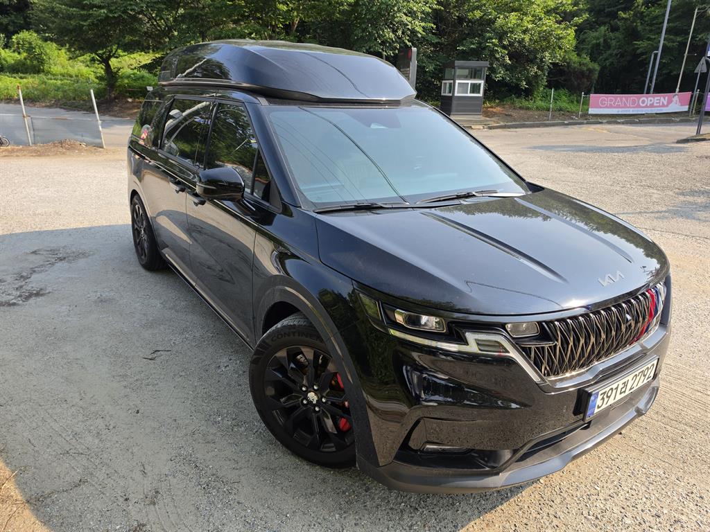 KIA Carnival - Vista 8