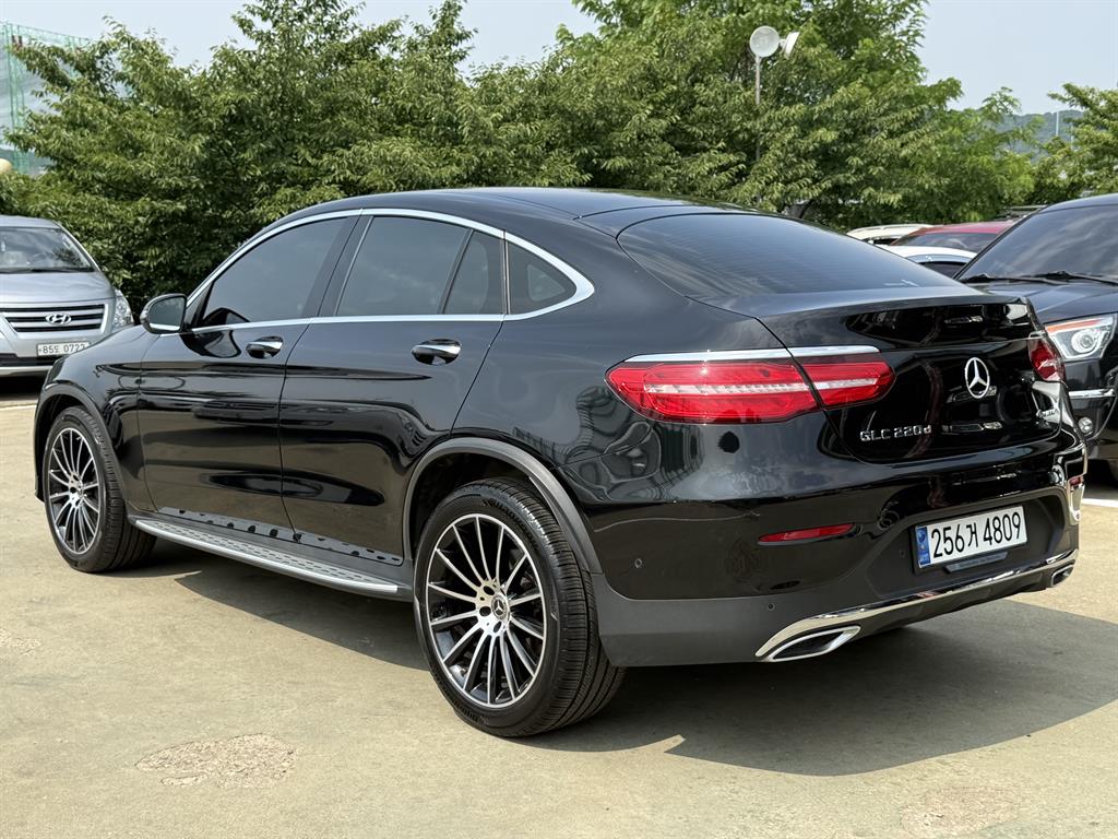 Mercedes Benz GLC Class - Vista 6