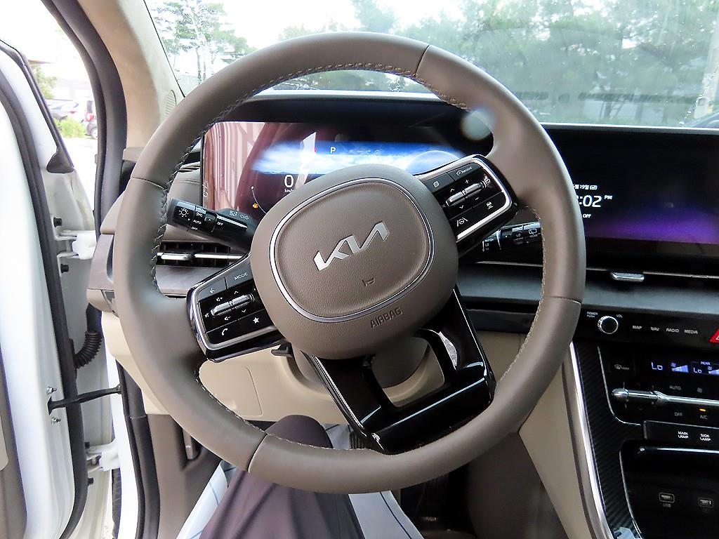 KIA Carnival - Vista 10