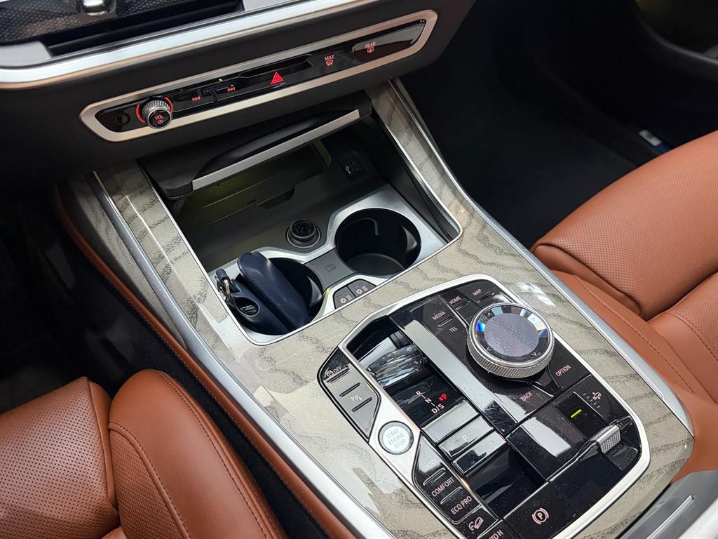 BMW X7 - Vista 12
