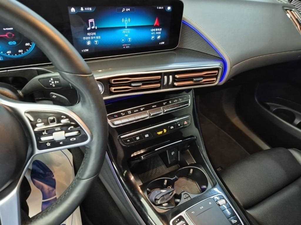 Mercedes Benz EQC - Vista 12