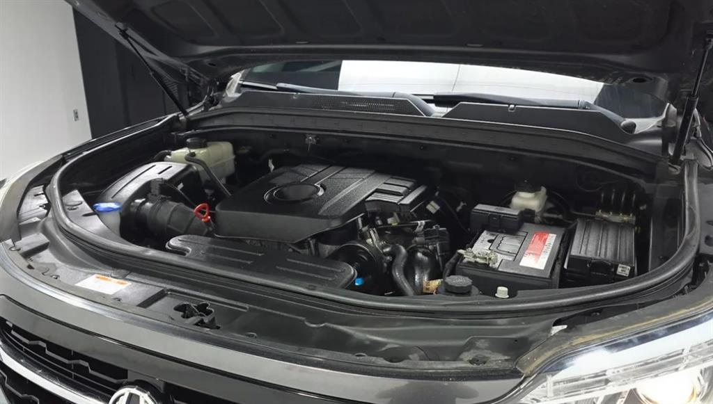 Ssangyong Rexton - Vista 8