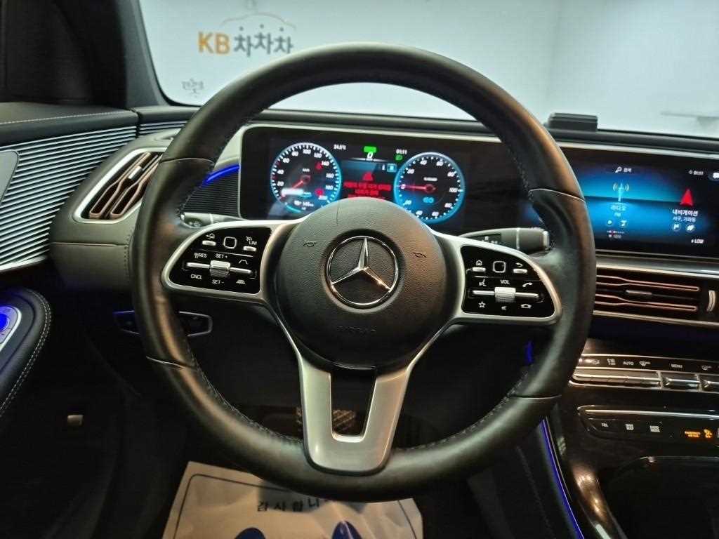 Mercedes Benz EQC - Vista 11