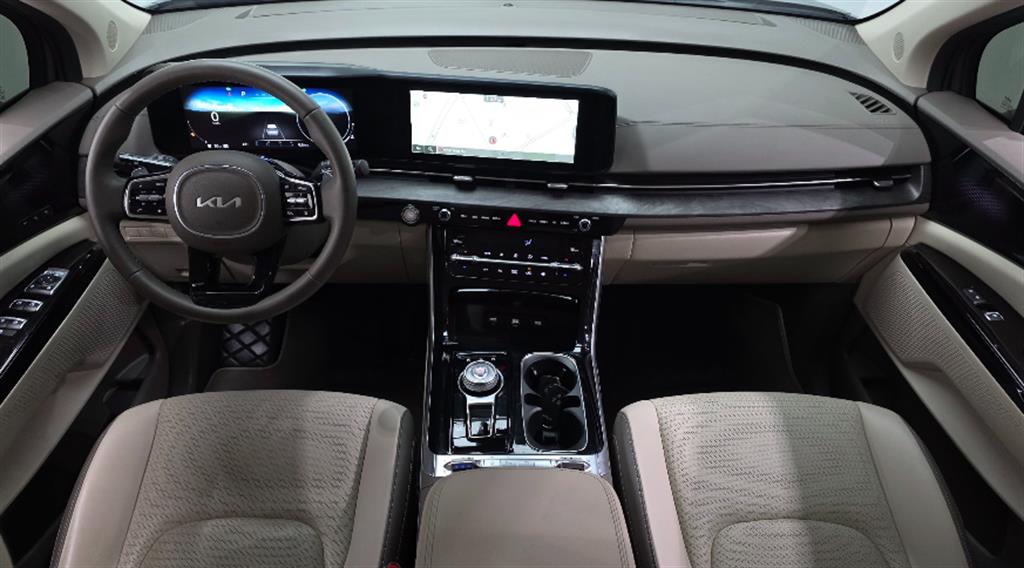 KIA Carnival - Vista 12