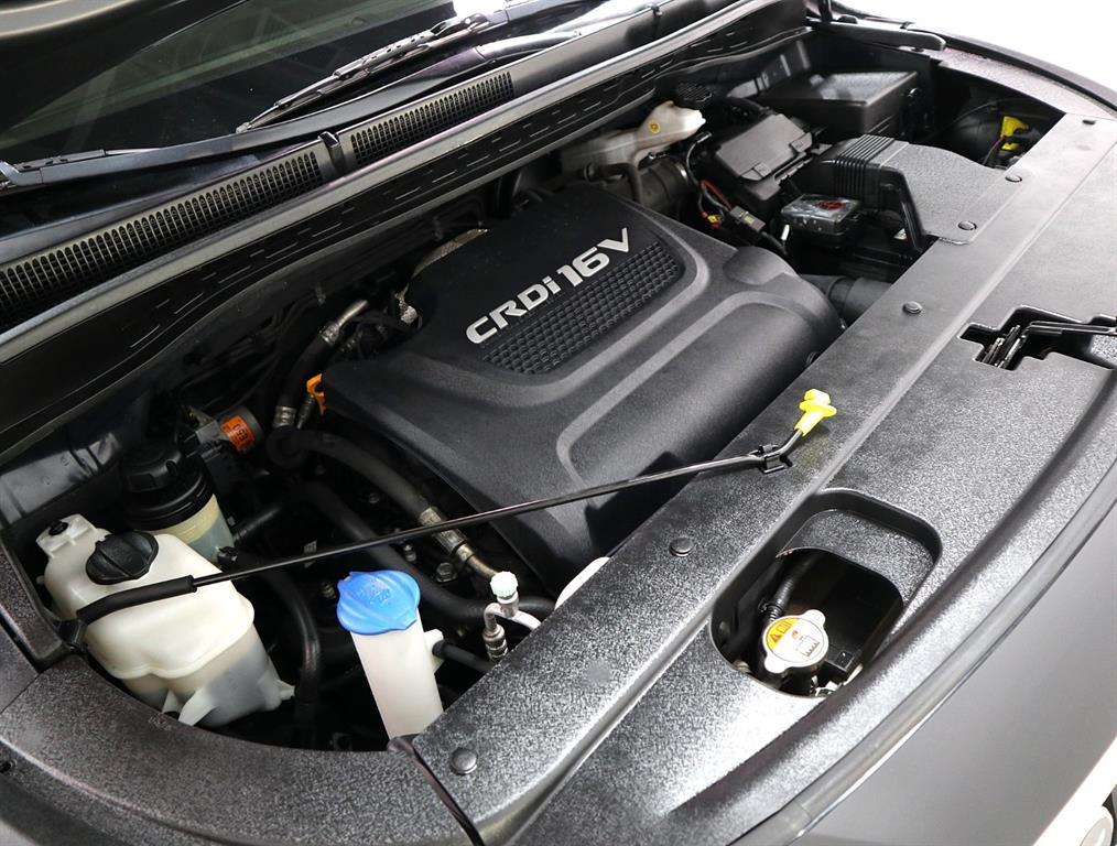 KIA Carnival - Vista 8