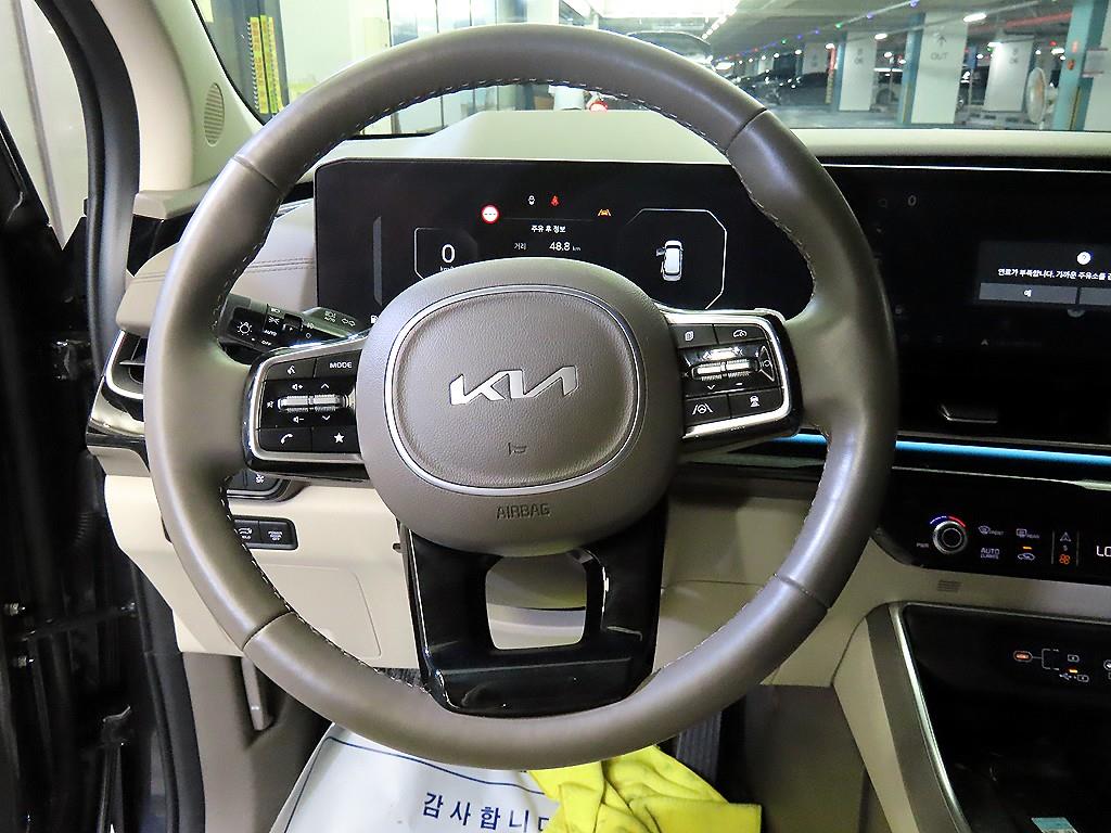 KIA Carnival - Vista 8