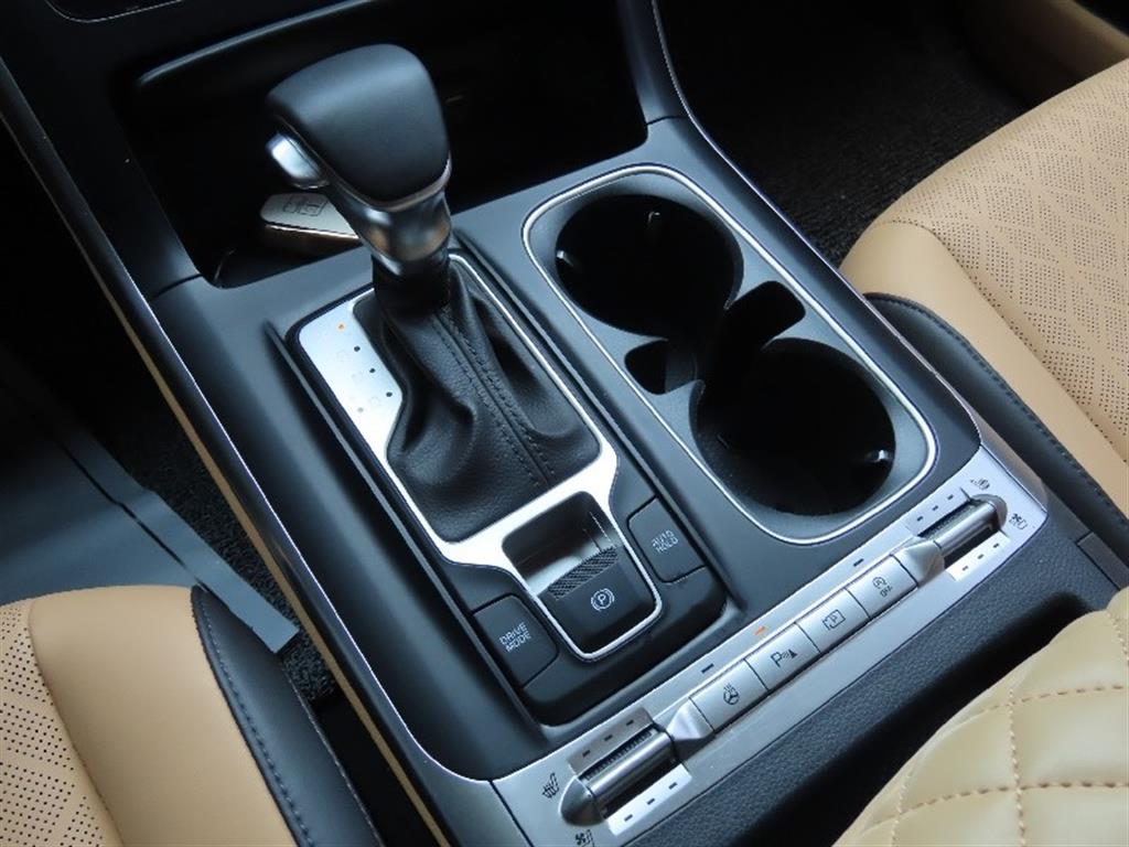 KIA Carnival - Vista 6