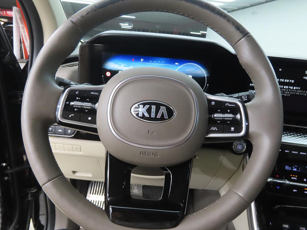 KIA Carnival - Vista 8