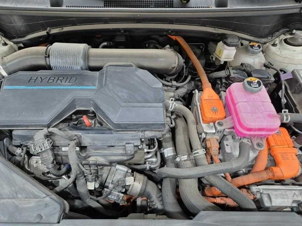 KIA Sportage - Vista 5