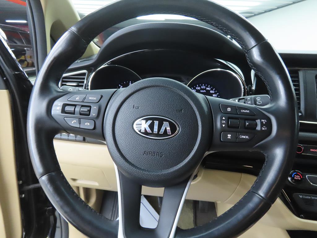 KIA Carnival - Vista 8