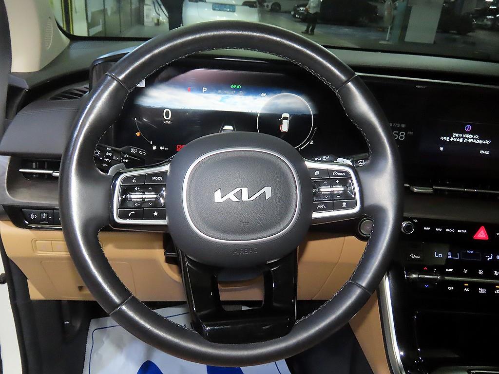 KIA Carnival - Vista 8