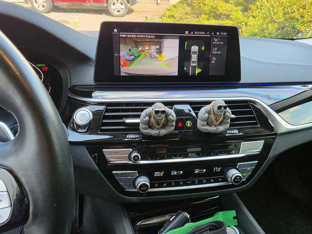 BMW 5 Series - Vista 8