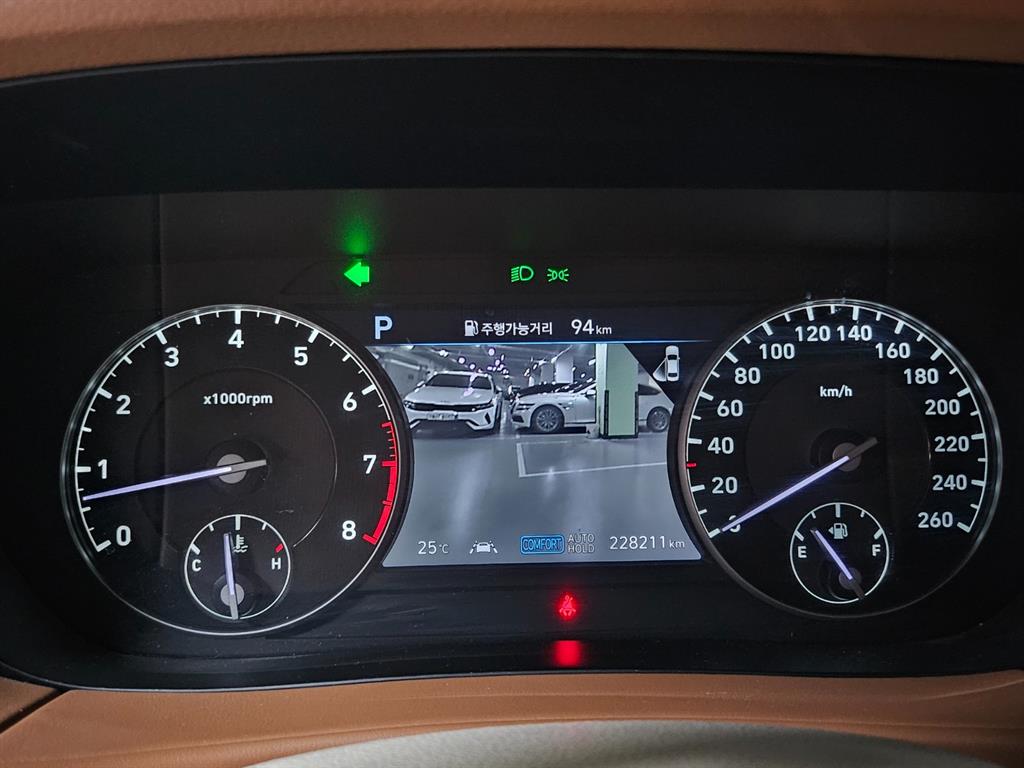 Genesis G90 - Vista 9
