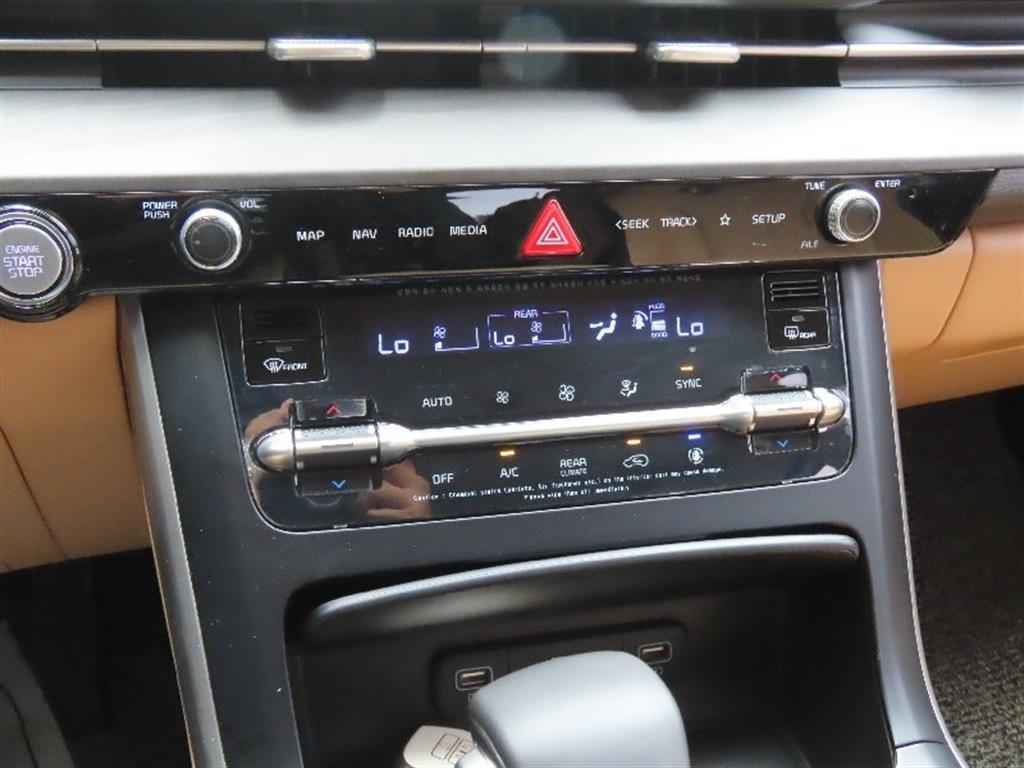 KIA Carnival - Vista 7