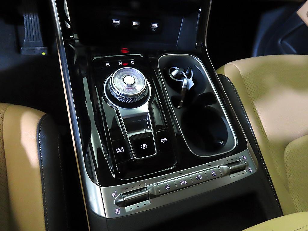 KIA Carnival - Vista 12