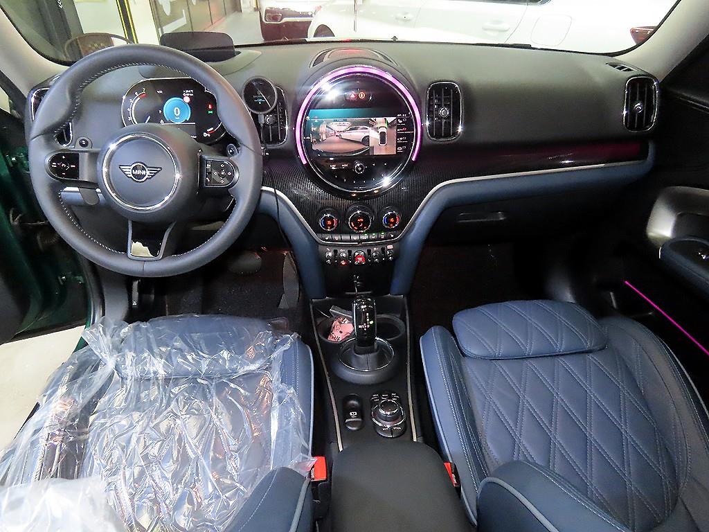 Mini Countryman - Vista 10