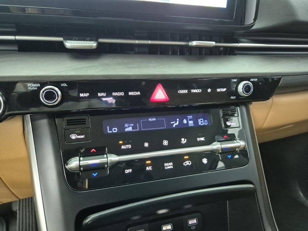 KIA Carnival - Vista 10
