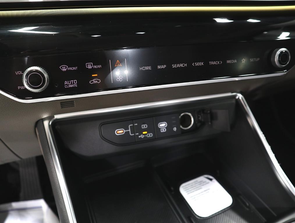 KIA Carnival - Vista 12