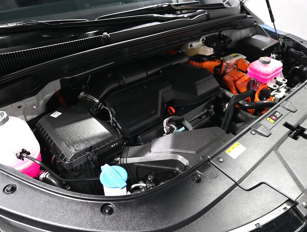 KIA Carnival - Vista 6