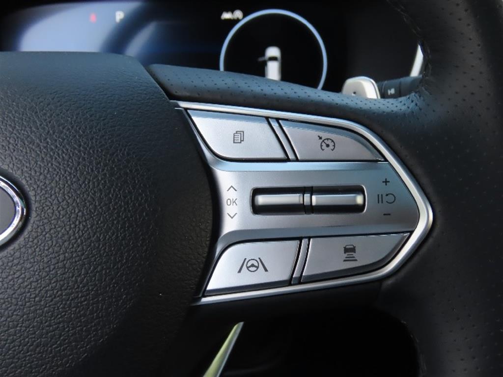 HYUNDAI Santa Fe - Vista 10
