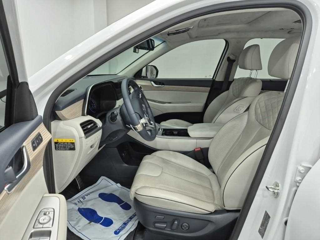 HYUNDAI Palisade - Vista 11
