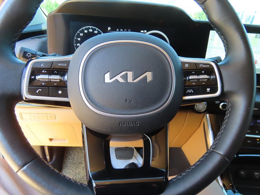 KIA Carnival - Vista 12