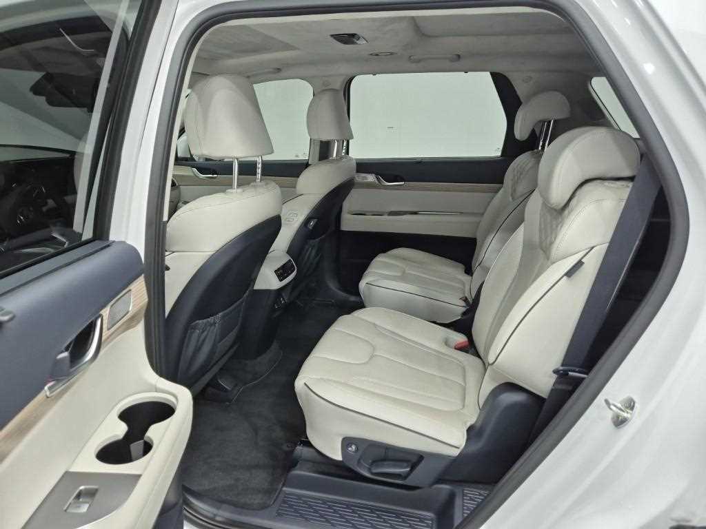 HYUNDAI Palisade - Vista 12