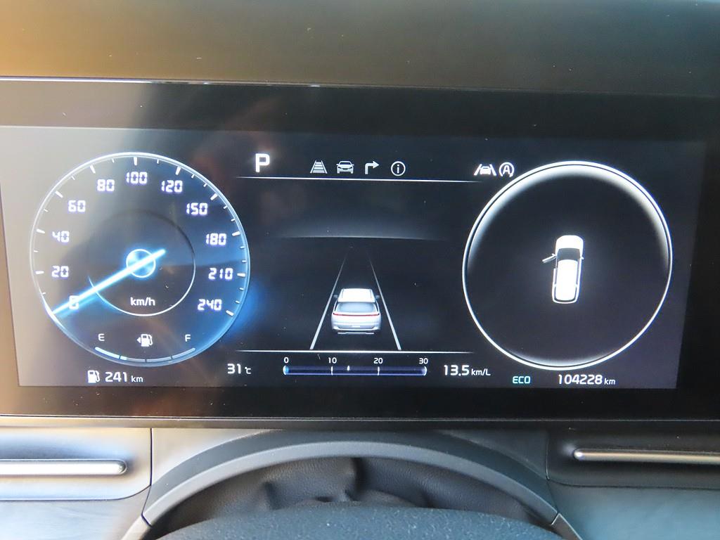 KIA Carnival - Vista 9