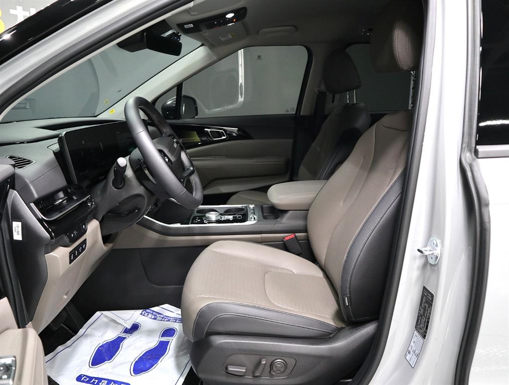 KIA Carnival - Vista 9